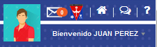 1. Área de identificación